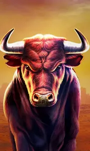Black Bull